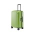 Чемодан NINETYGO Elbe Luggage 24” Зеленый