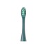 Сменные зубные щетки Oclean Standard Clean Brush Head PW09 (2-pk) Green